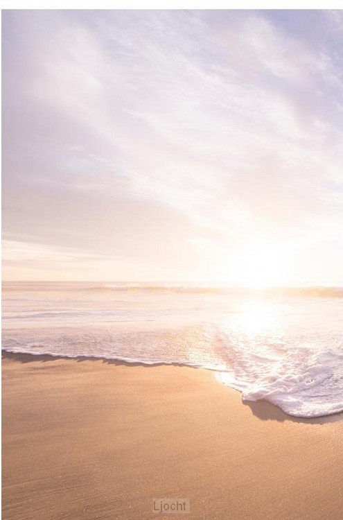 The book of secret truths