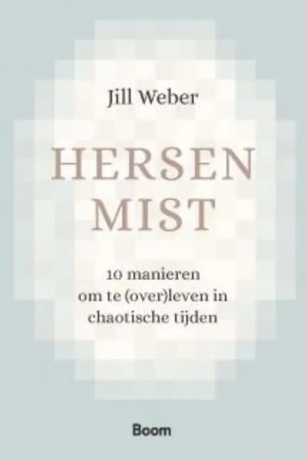 Hersenmist