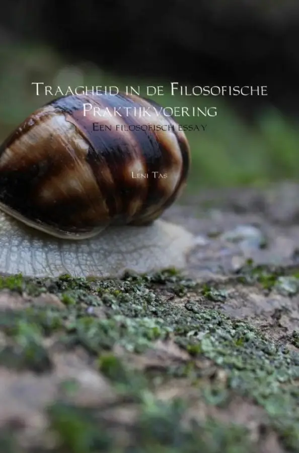 Traagheid in de Filosofische Praktijkvoering
