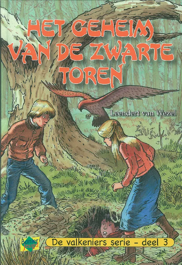 Het geheim van de zwarte toren
