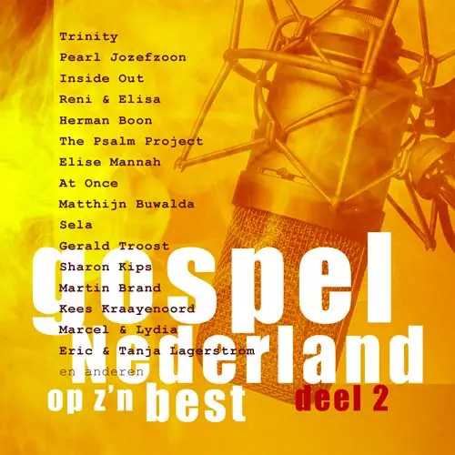 Gospel Nederland op z'n best 2