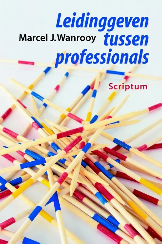 Leidinggeven tussen professionals