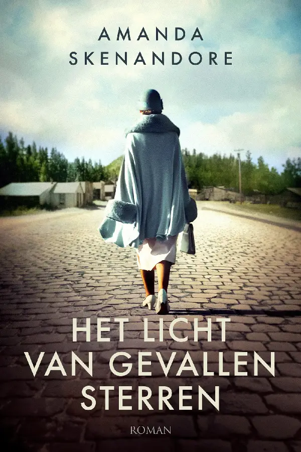 Het licht van gevallen sterren