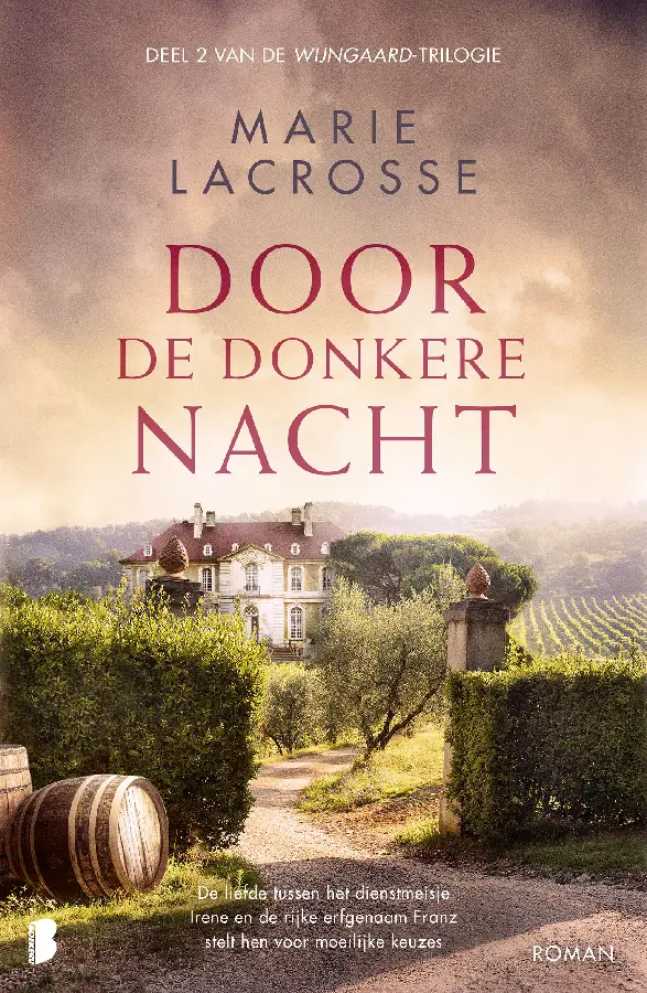 Door de donkere nacht