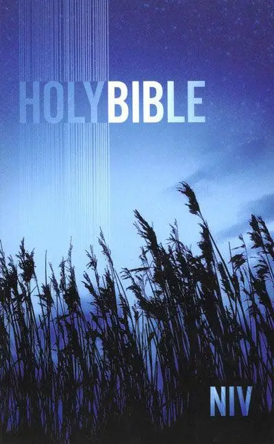 NIV outreach bible