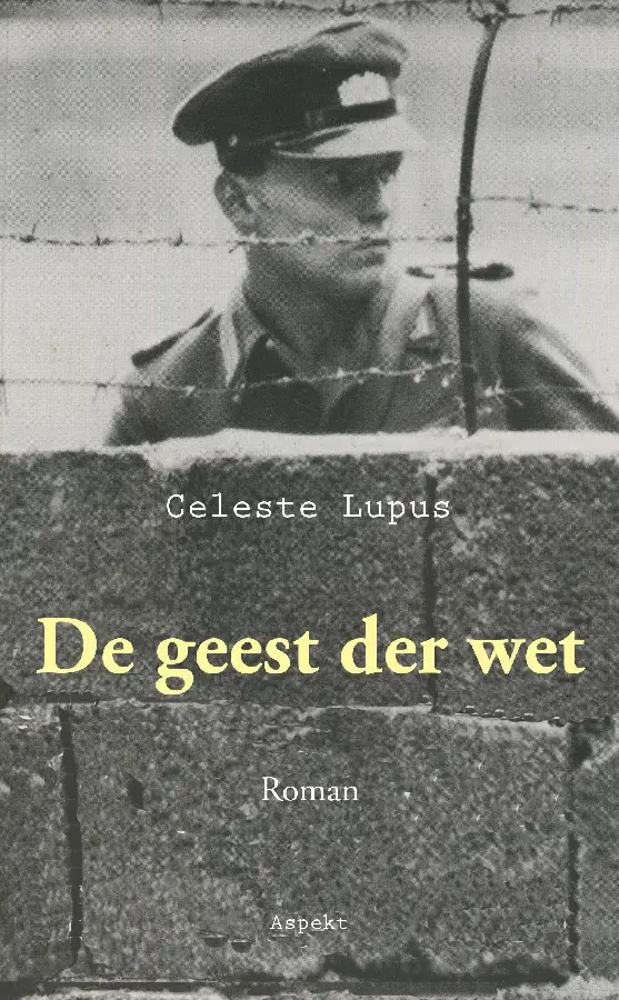 De geest der wet