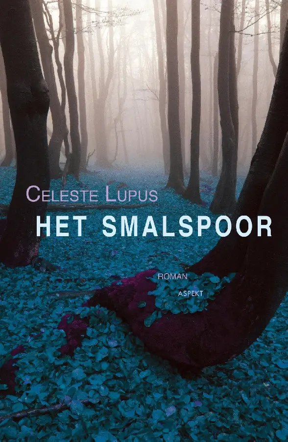 Het Smalspoor