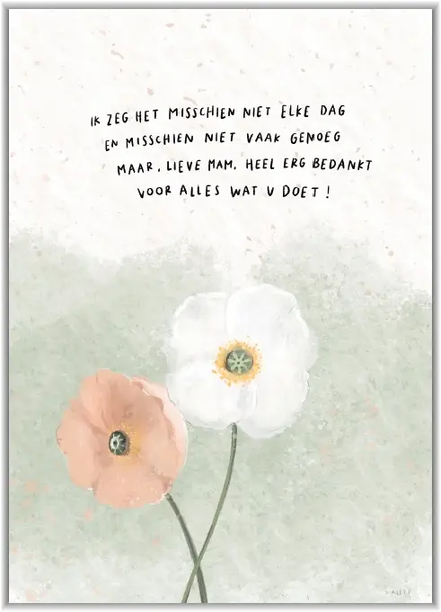 Ik zeg het misschien niet elke dag