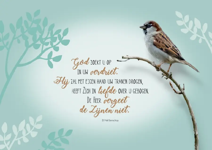 Wenskaart God zoekt u op