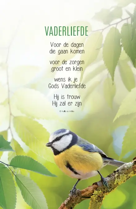 Wenskaart psalmen in de nacht