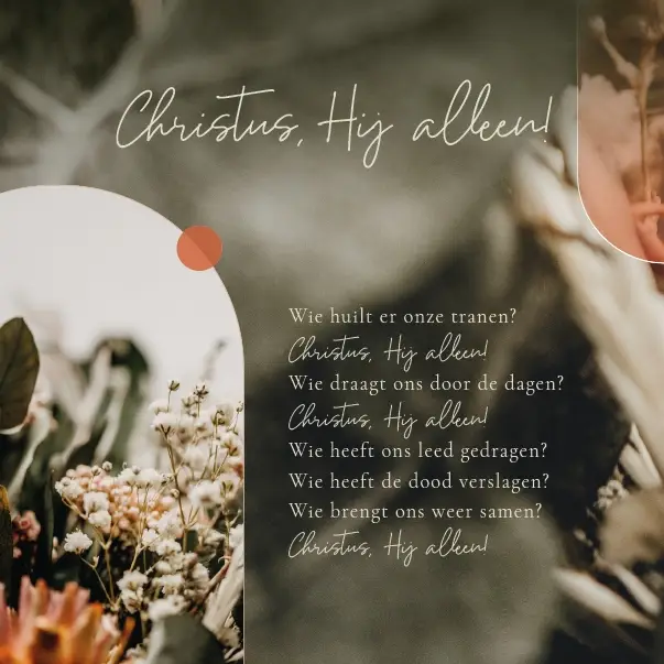 Enkele Kaart Voor u alleen