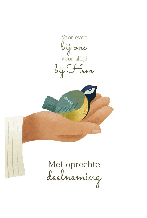 Met oprechte deelneming( kind)