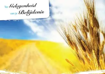 Ter gelgenheid van je belijdenis