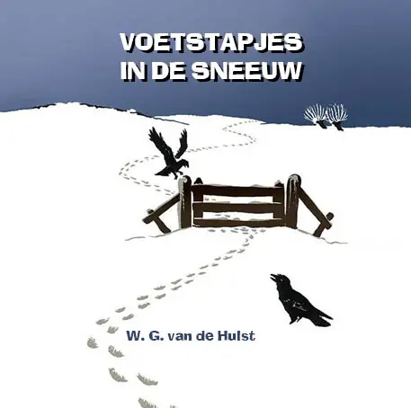 Voetstapjes in de sneeuw