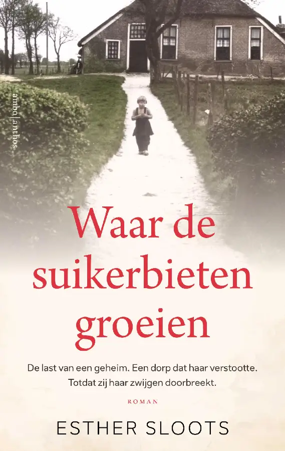 Waar de suikerbieten groeien