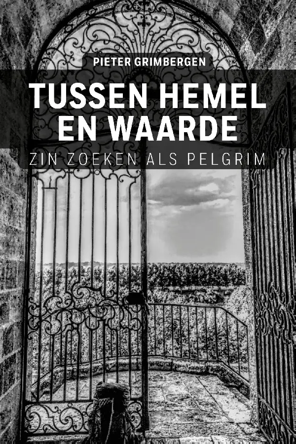 Tussen hemel en waarde