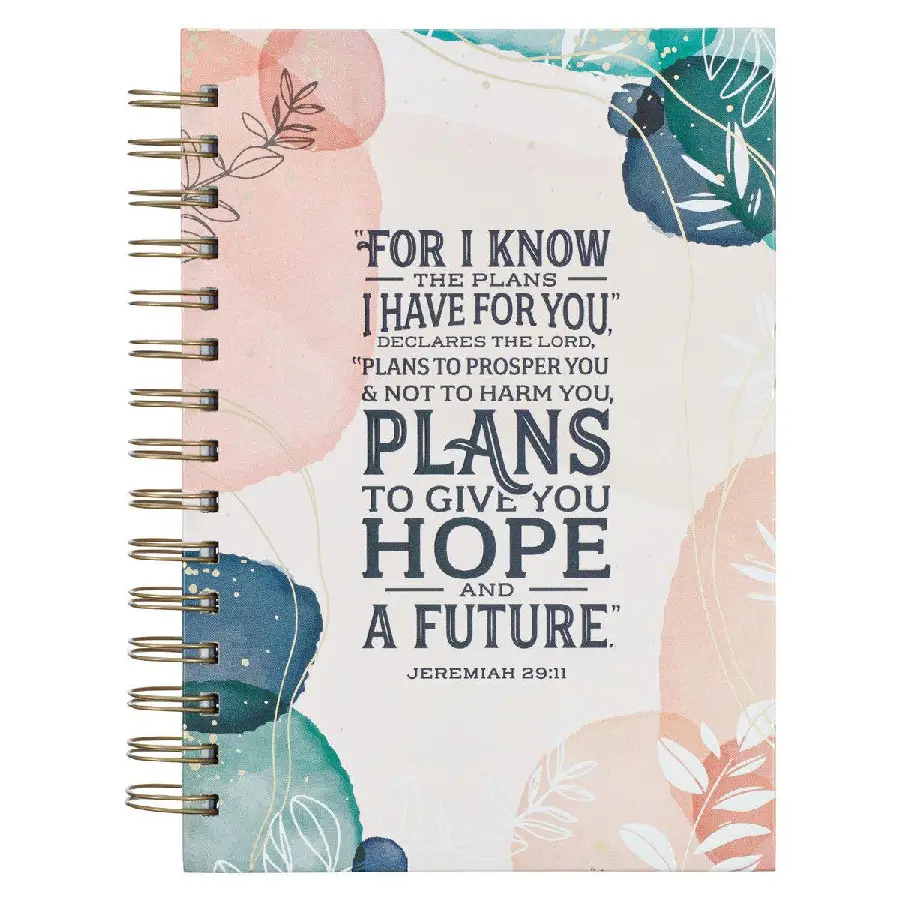 I Know the Plans Muted Watercolor