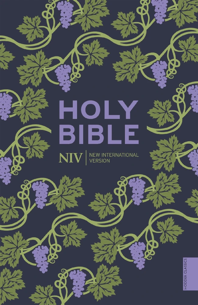 NIV Pocket Bible Colour