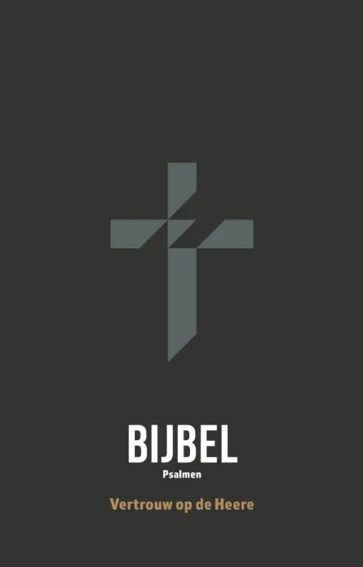 Jongensbijbel HSV