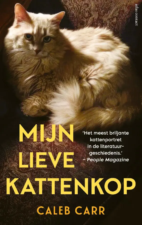 Mijn lieve kattenkop
