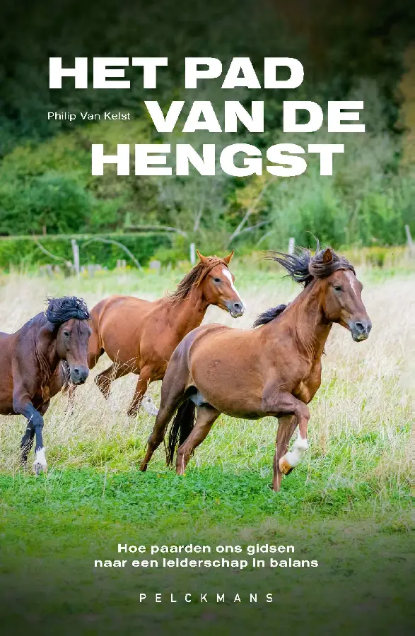 Het pad van de hengst