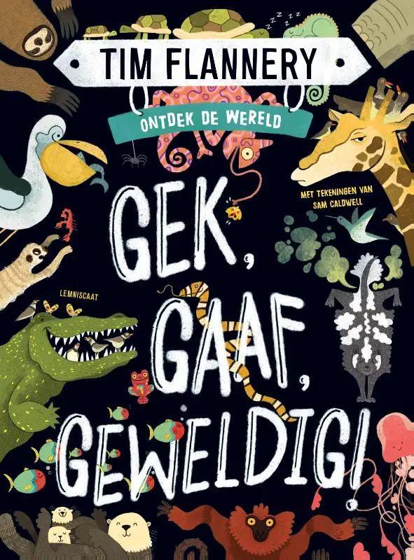 Gek, gaaf, geweldig