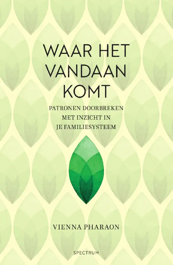 Waar het vandaan komt